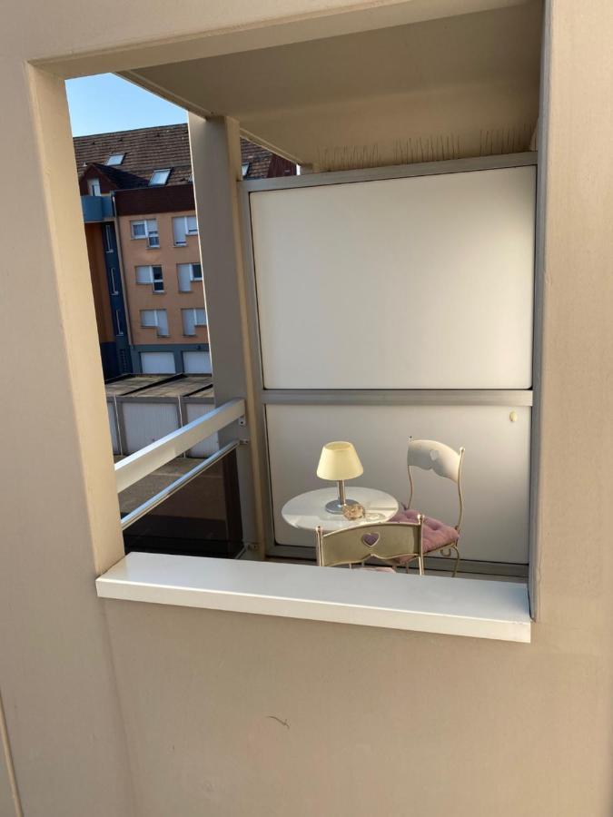 Charmant Studio A Haguenau, A 25Mn De Strasbourg Экстерьер фото